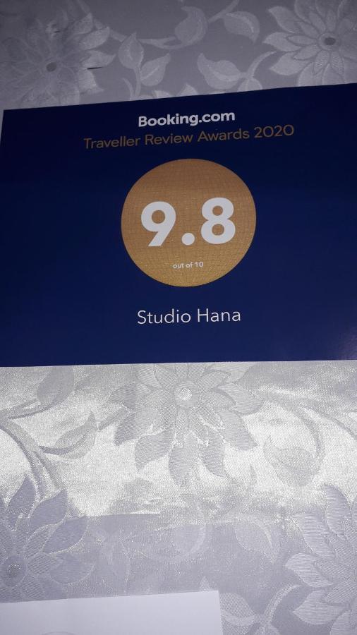 Studio Hana Novi Sad Extérieur photo